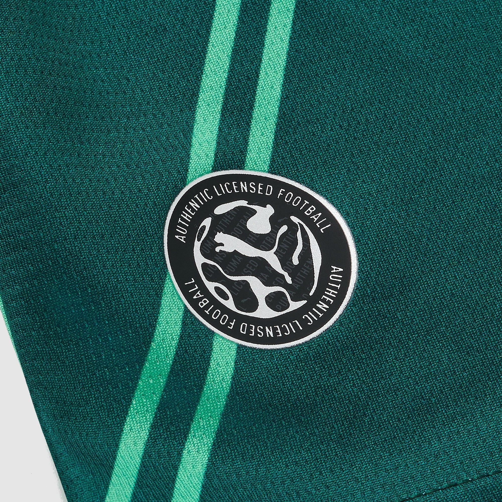 Goalkeeper 26/27 Shirt - Teal