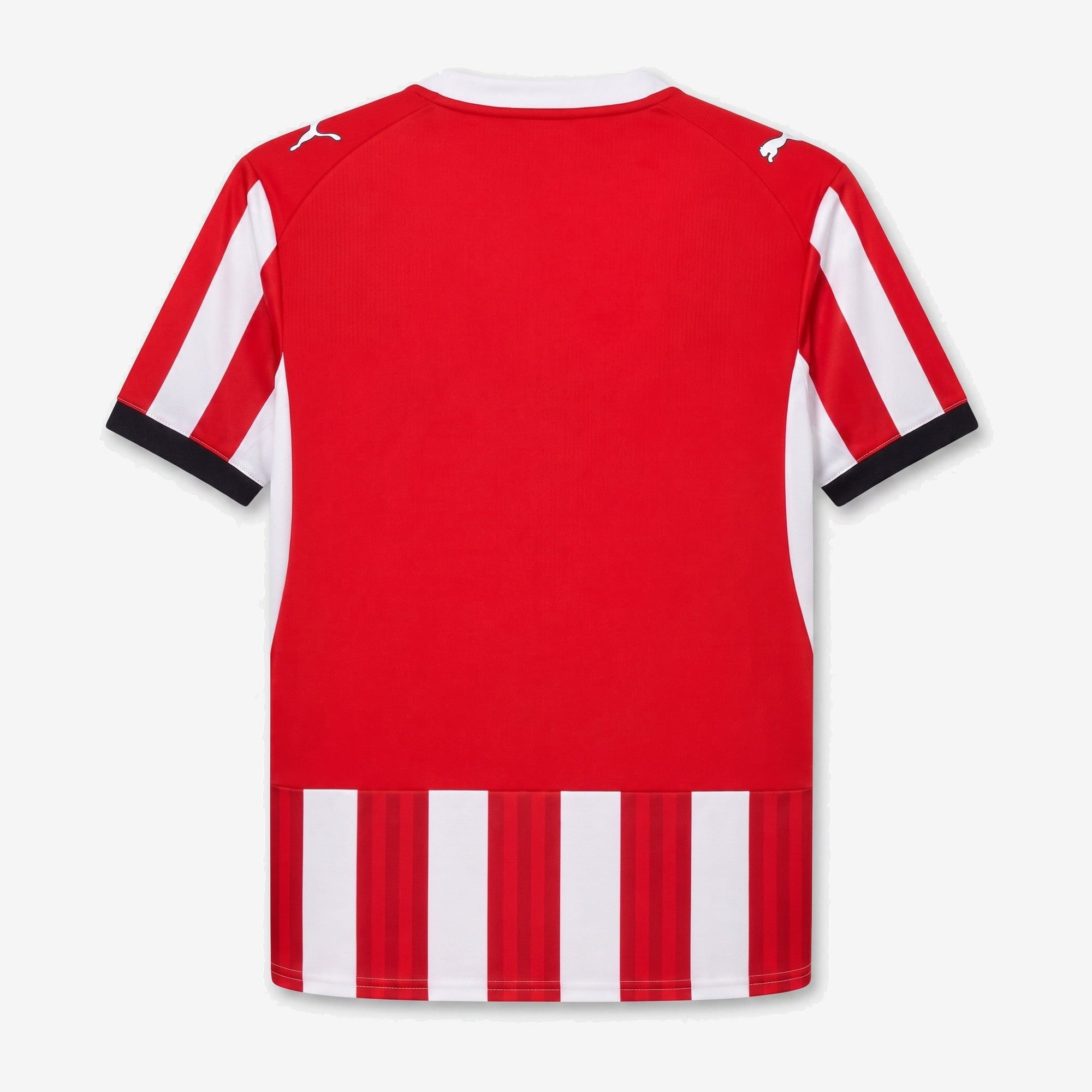 Home 26/27 Men's Shirt