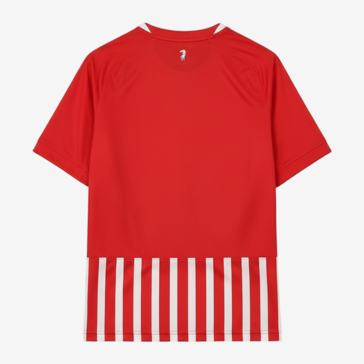 Home 26/27 Men's Shirt