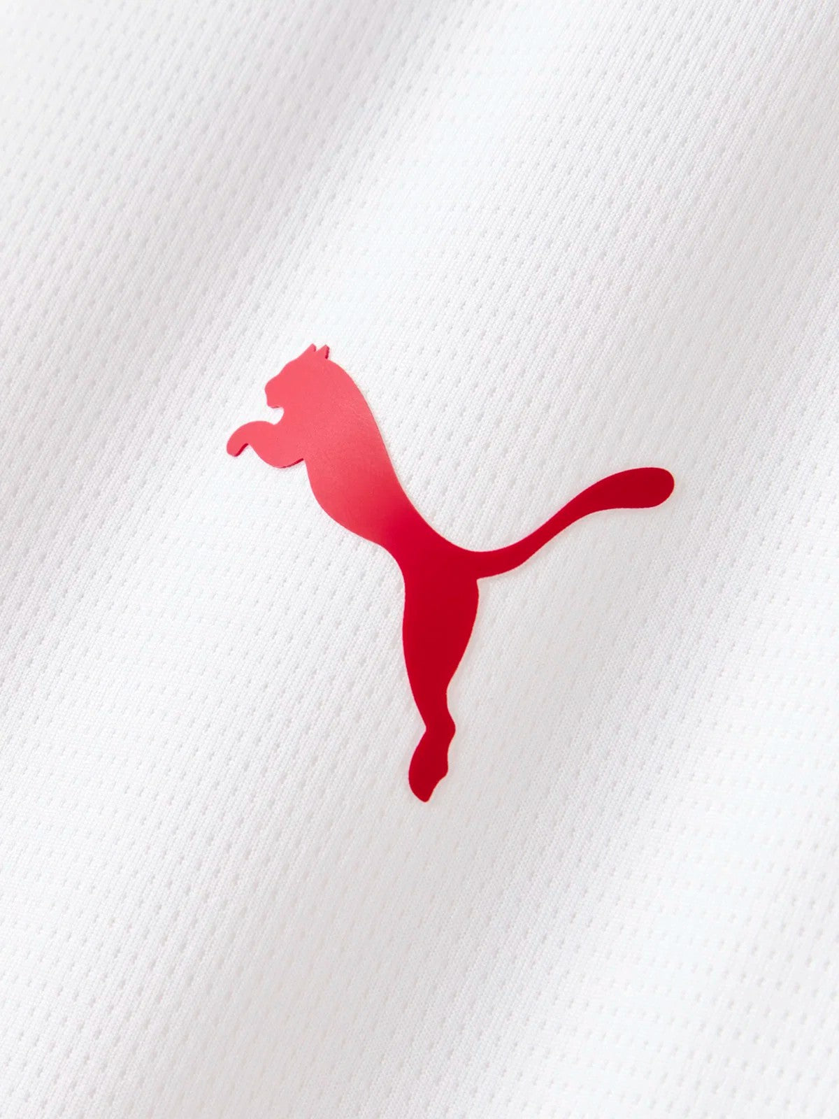 Away 26/27 Men's Shirt