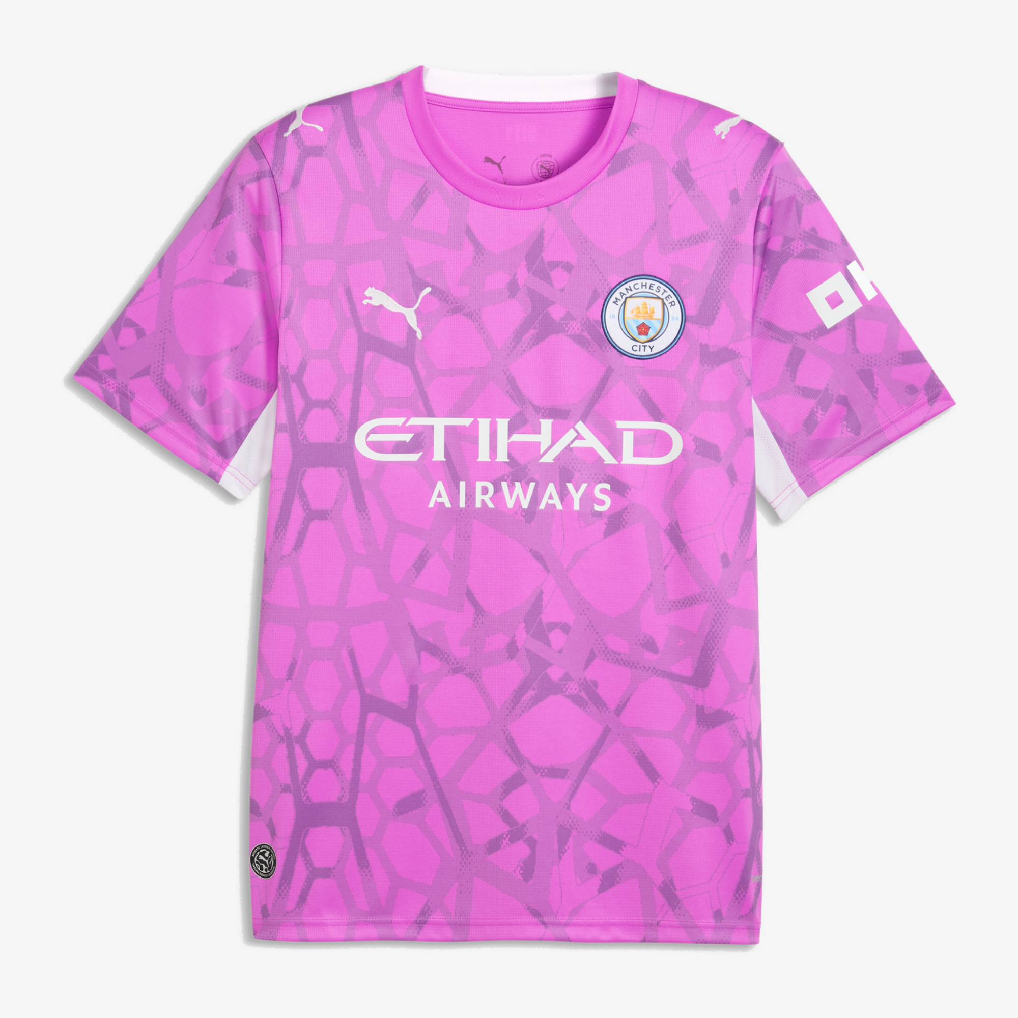 Goalkeeper 26/27 Shirt - Pink